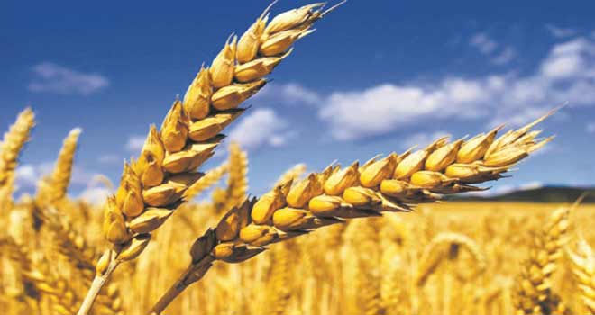 Les produits alimentaires gardent la cote