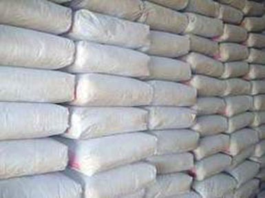 La société indienne Seftech envisage de produire le ciment au Congo