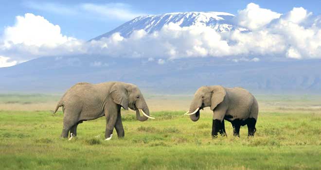 Faire du secteur touristique un catalyseur de changement positif Faire du secteur touristique un catalyseur de changement positif