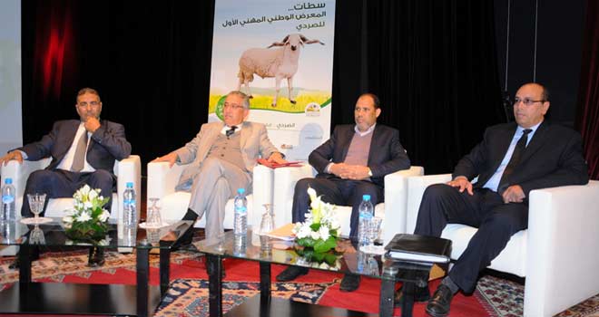 Maroc: Le Sardi, une fierté de l’élevage ovin national