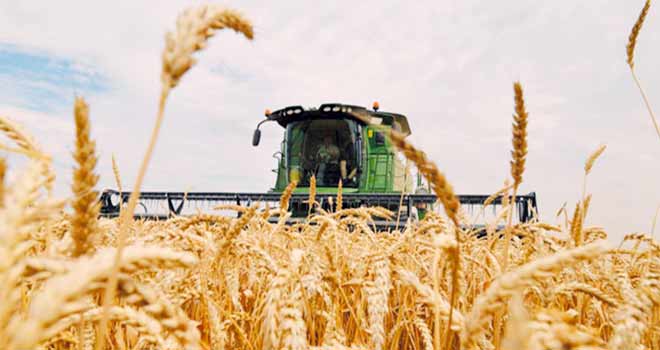 Maroc: La campagne agricole s’annonce sous de bons auspices