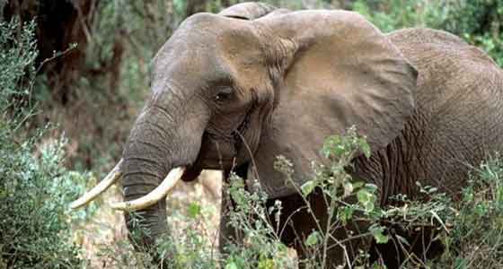 Les arrivées de touristes internationaux devraient croître de 4% à l&rsquo;échelle mondiale en 2016