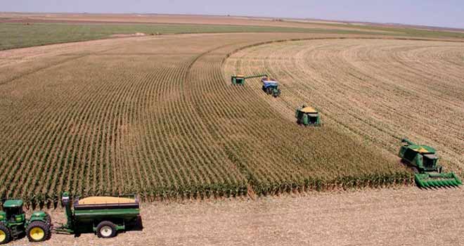 La reprise de l’activité agricole dope l’économie nationale