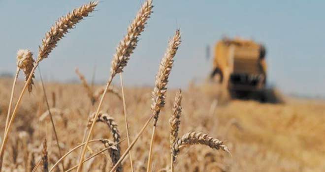 Hausse de la facture des importations alimentaires mondiales