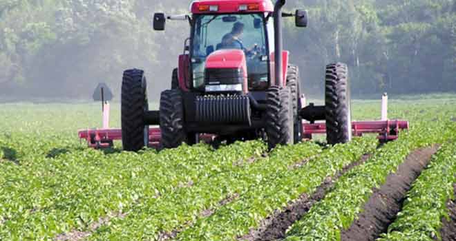 Maroc: Les résultats de la campagne agricole boostent la croissance économique Agriculture