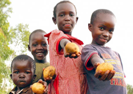 Insécurité alimentaire en Afrique : Sept pays africains accomplissent des progrès remarquables les enfants de moins de cinq ans avec une insuffisance pondérale a recule