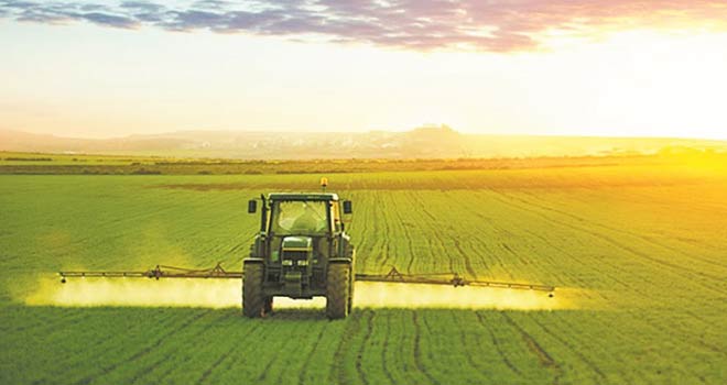 Maroc: Perspectives positives pour la campagne agricole agriculture