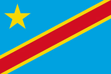 GRTJ-RDC: Sondage sur les 100 personnes de la diaspora pouvant siéger au Parlement de Transition en RDC