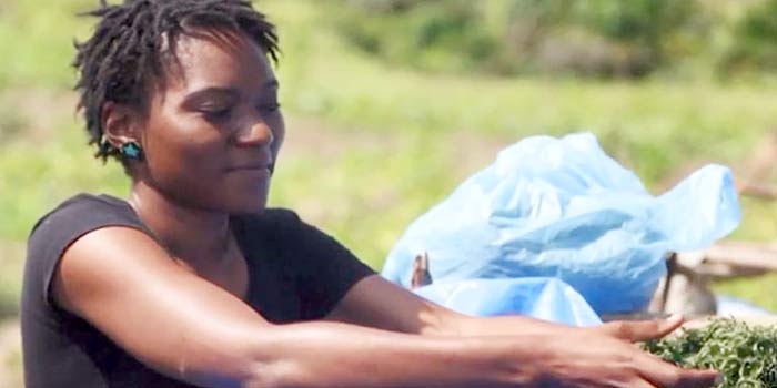 «Pourquoi pas moi?»: Des jeunes de Kinshasa se lancent dans la création d’entreprises