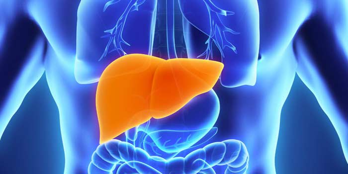 Casablanca: « Atteintes auto-immunes du foie et du tube digestif », thème de la 2ème Journée du GEAIM