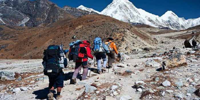 Les morpions algériens et français en plein délire !​