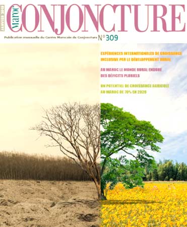 Nouvelle publication du CMC: « Agriculture : Quels enjeux pour l’économie marocaine ? »