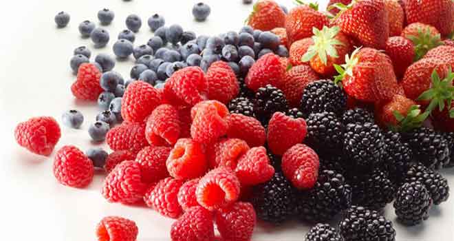 Maroc: coup d&rsquo;envoi à Larache du Festival national des petits fruits rouges