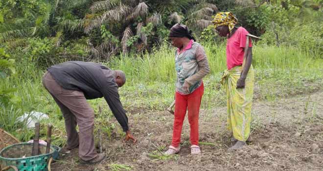Les (ba)-sundis et leur sens patriotique dans l’ancien Congo ou Koôngo dia Ntootela
