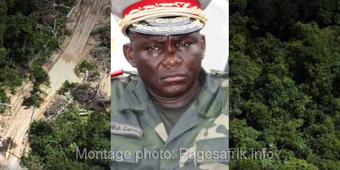 Global Witness: le général Gabriel Amisi Kumba commercialise des permis forestiers illégaux en RDC
