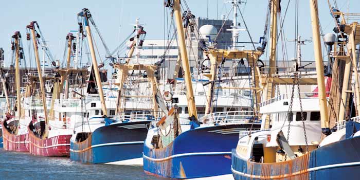 Bonne tenue de l’activité du secteur de la pêche (Maroc)