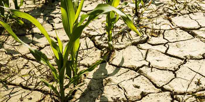 Le réchauffement climatique pourrait menacer 80 millions d’emplois d’ici 2030