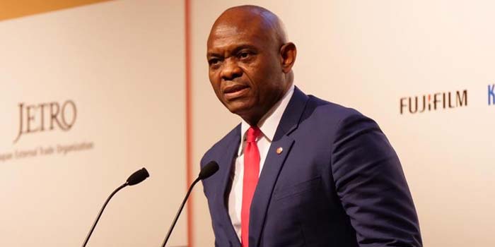 M. Elumelu met le Japon au défi: “Collaborez avec nous afin de responsabiliser les entrepreneurs africains”