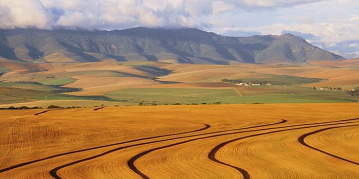 Massey Ferguson apporte son soutien aux agriculteurs émergents d’Afrique du Sud