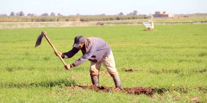 La résilience de l'agriculture paysanne face aux changements climatiques: Le Maroc et le FIDA investissent en faveur de 11.200 ménages vulnérables La résilience de l'agriculture paysanne face aux changements climatiques: Le Maroc et le FIDA investissent en faveur de 11.200 ménages vulnérables