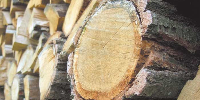 La production mondiale des produits dérivés du bois atteint sa plus forte hausse depuis 1947 La production mondiale des produits dérivés du bois atteint sa plus forte hausse depuis 1947