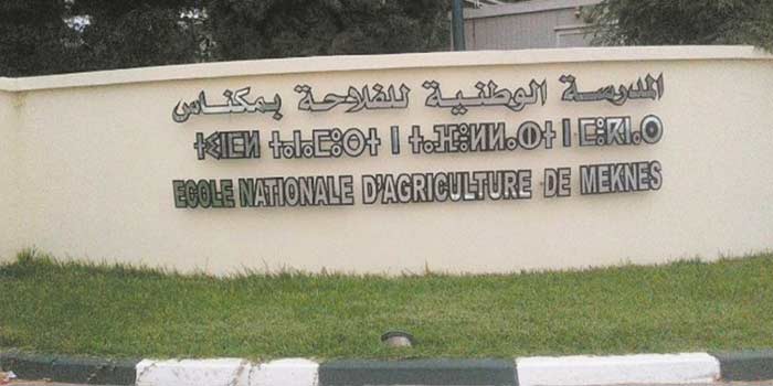 Le 13ème Forum de l’ENAM dédié à la digitalisation de l&rsquo;agriculture marocaine