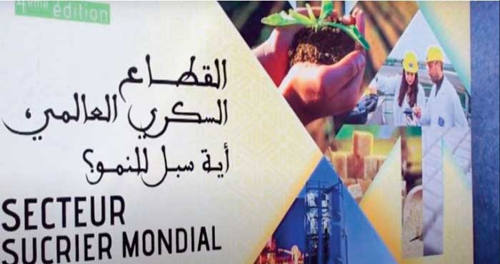Maroc: Les opérateurs de la filière sucrière planchent sur les chemins de croissance