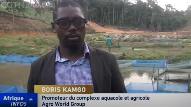 Boris Kamgo, Agro World Group