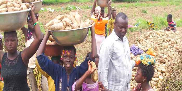 Burkina Faso : la Banque africaine de développement soutient un projet agricole au bénéfice de 60 000 personnes dans la plaine de la Léraba, dans l’ouest du pays