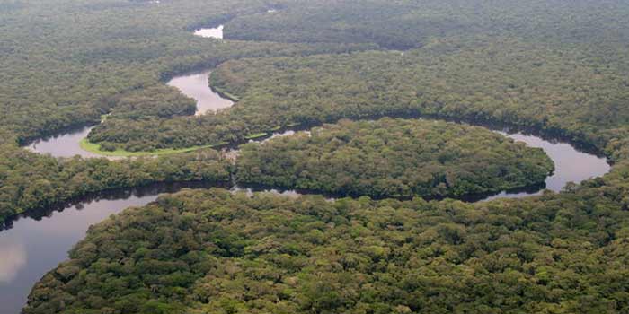 République démocratique du Congo: Le Parc national de la Salonga retiré de la Liste du patrimoine mondial en péril*