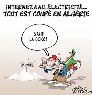 L'Algérie est bel et bien impliquée jusqu'au cou dans la production et le trafic de drogues dures algerie-coke