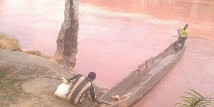 RD Congo/Rivière Kassai : Grave catastrophe écologique en cours…
