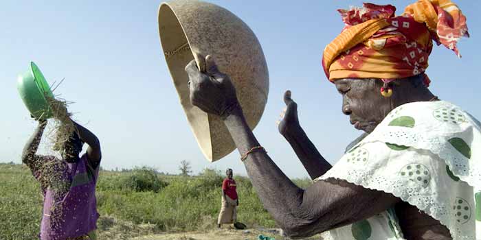 Le-gouvernement-du-Mali,-la-FAO,-le-FIDA-et-le-PAM-lancent-un-programme-conjoint-pour-renforcer-la-resilience-des-populations-rurales