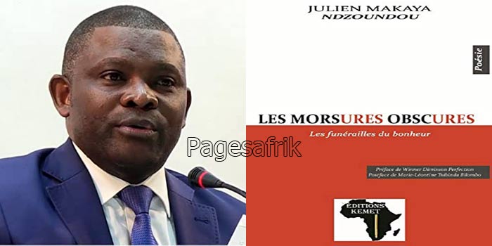 POESIE CONGOLAISE. Les morsures obscures (1) : de la poésie à la « proésie »