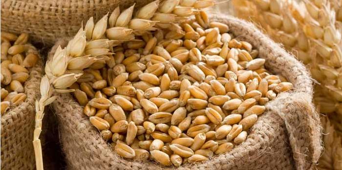 Hausse marquée des prix des céréales et des produits laitiers à l’échelle mondiale