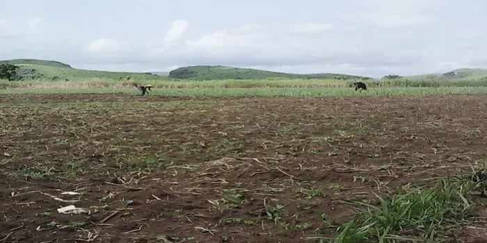 Accords Congo-Rwanda. On en sait davantage mieux