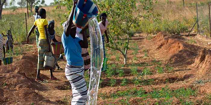 L&rsquo;Afrique est-elle prête pour la croissance verte ? Un nouveau rapport évalue le Gabon, le Kenya, le Maroc, le Mozambique, le Rwanda, le Sénégal et la Tunisie