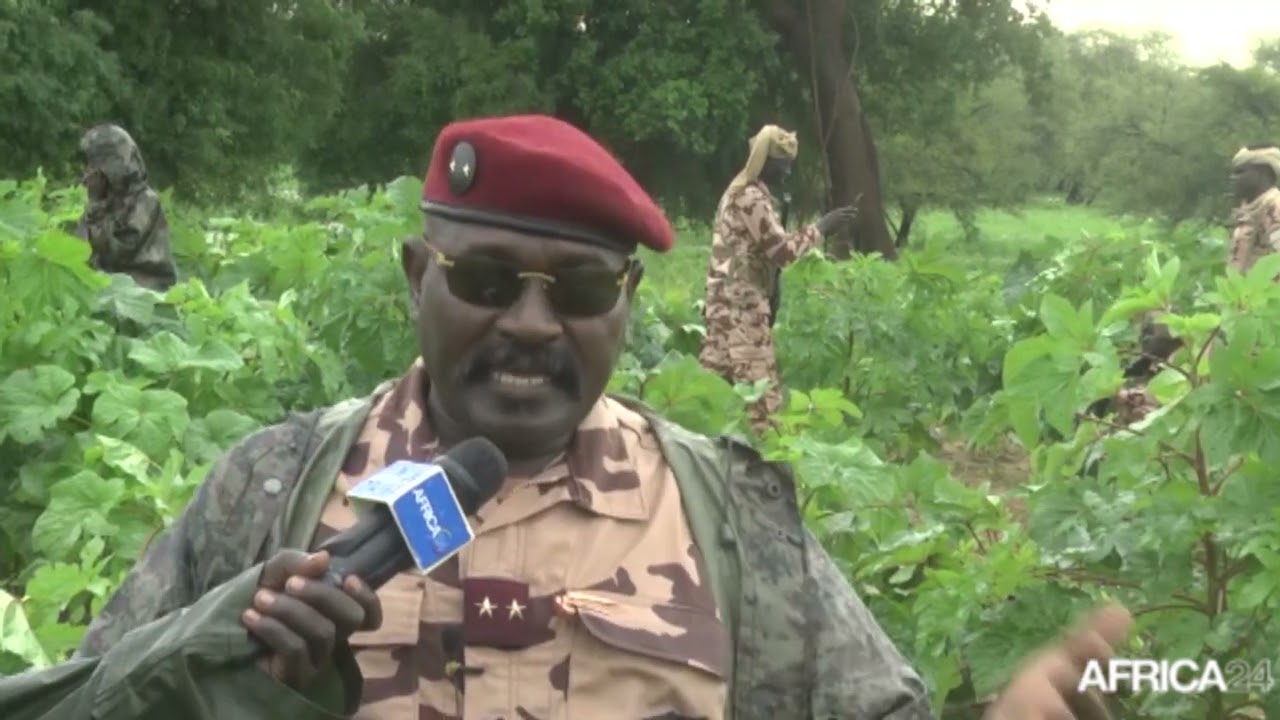 Tchad : 250 hectares de sorgho et de légumes exploités par l’armée au centre
