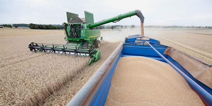 Révision à la baisse de l’utilisation et des stocks de céréales en 2022-2023