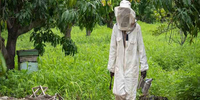Burundi : plus de 20 millions de dollars du Groupe de la Banque africaine de développement pour développer le secteur agro-pastoral en faveur des jeunes et des femmes