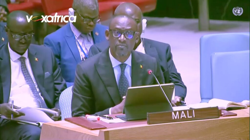 Mali – Accusations de soutien aux terroristes: Le Mali accuse la France de bloquer la tenue du débat (vidéo)