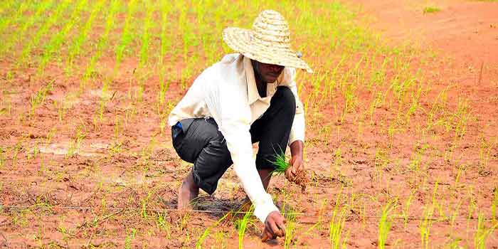 Bénin : le Fonds africain de développement va apporter une garantie partielle de crédit pour faciliter la mobilisation de ressources affectées aux Objectifs de développement durable