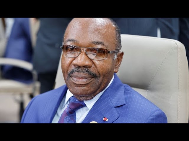 Gabon : Ali Bongo et les appels pour un 3e mandat présidentiel Gabon : Ali Bongo et les appels pour un 3e mandat présidentiel