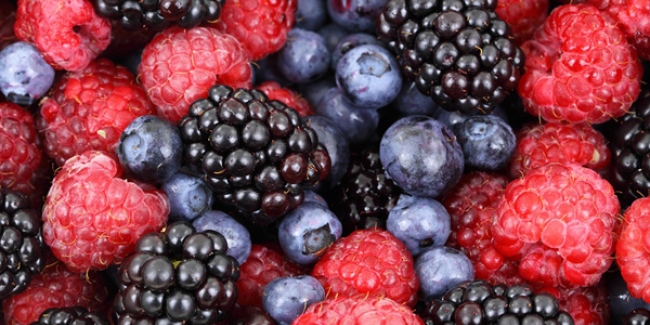 Maroc: Les exportations du secteur agricole enregistrent de bonnes performances en 2022 fruits-rouges