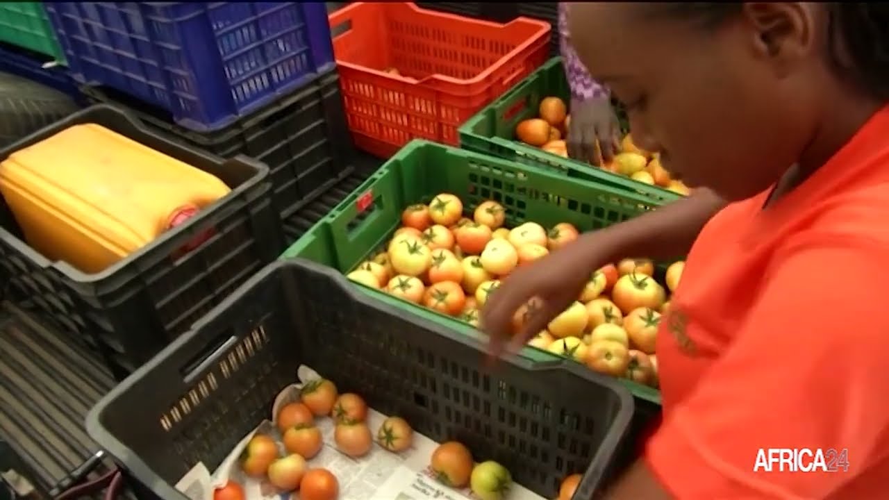 Afrique : 203,2 millions USD mobilisés par les entreprises dirigées par des femmes en 2022