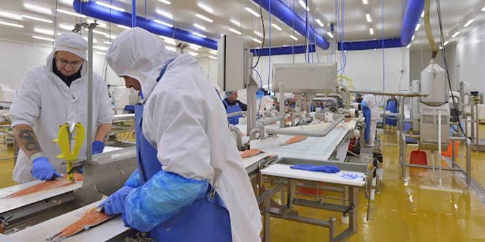 Maroc. L’agroalimentaire et l’automobile les branches les plus dynamiques au premier trimestre 2023