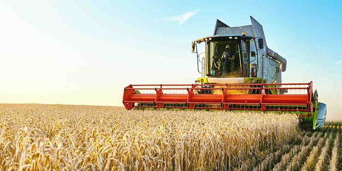 L’Éthiopie et le Groupe de la Banque africaine de développement signent un accord de subvention de 84,3 millions de dollars destiné à améliorer la production de blé